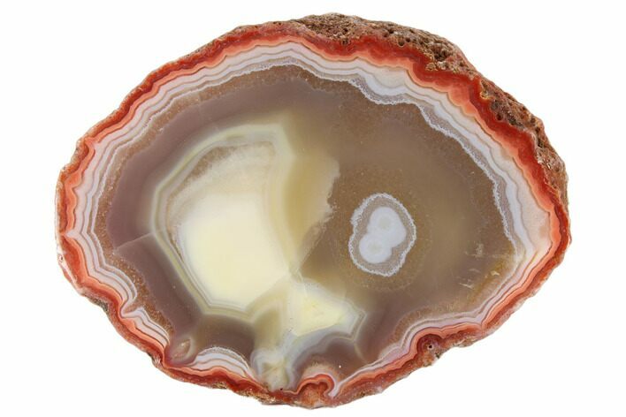 Polished Banded Agate Section - Sidi Rahal, Morocco #187226